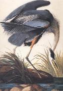 John James Audubon Great Blue Heron